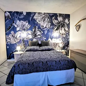 Le Petit Pagnol Appartement